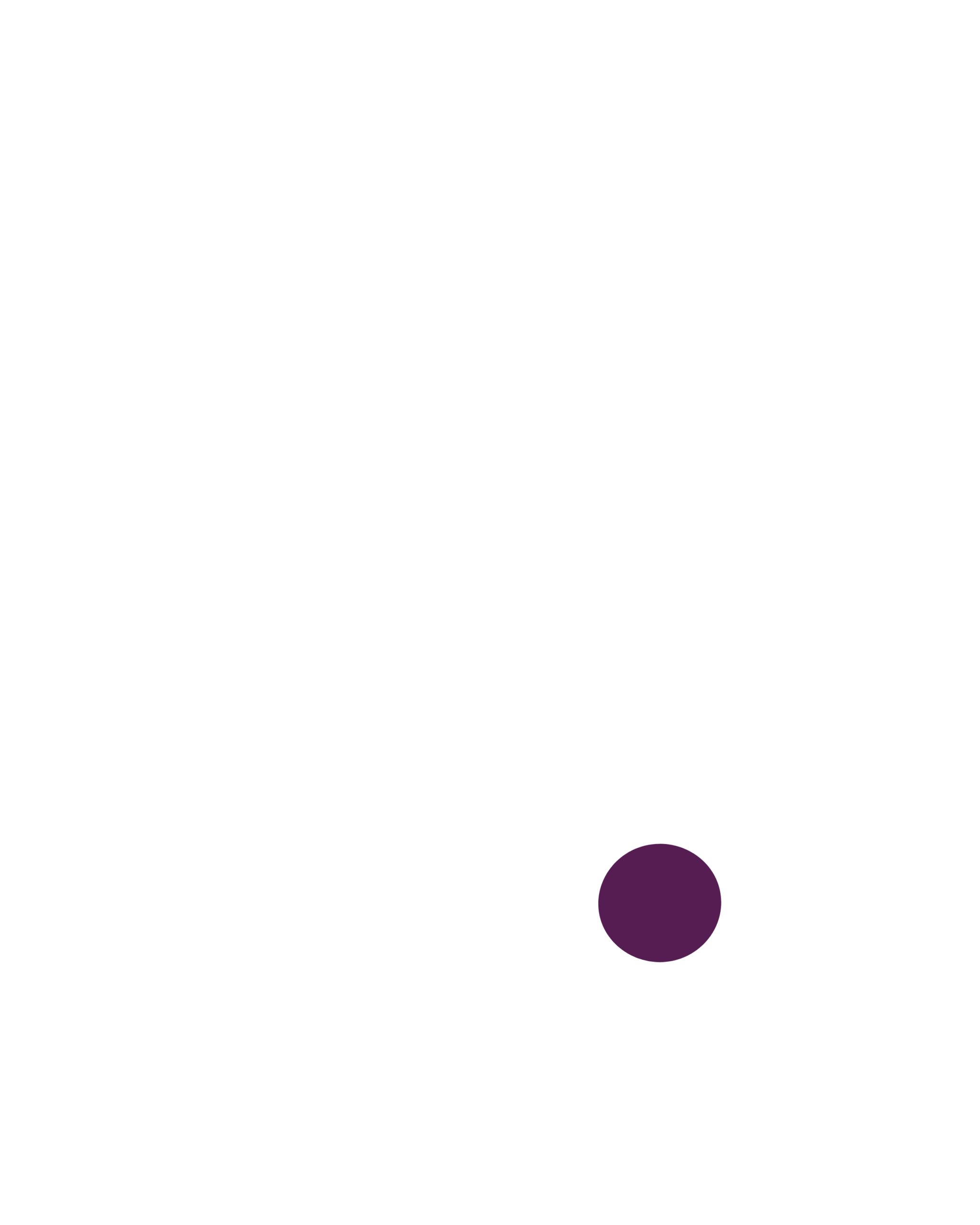 SheinconKate Logo